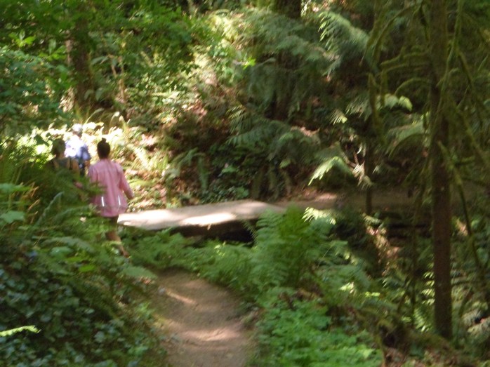 The descent back down Marquam Trail