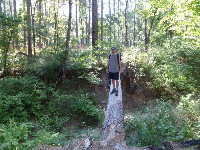 Log across the dry creek bed