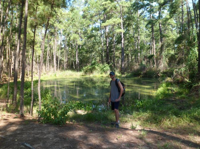 One of the small ponds