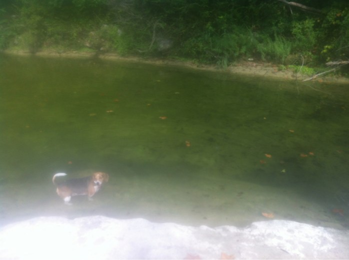 Bull Creek Biff 9_15_13