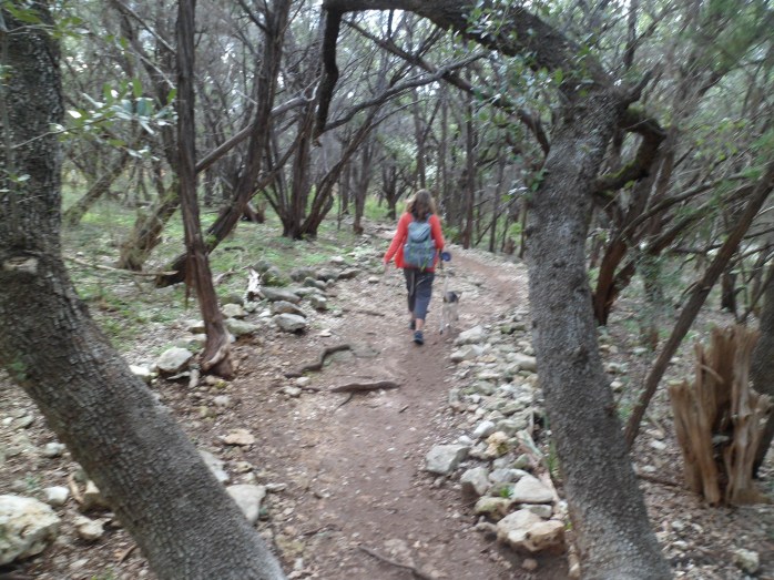 Heading down the trail