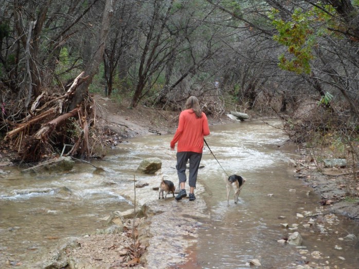 One of several water crossings.  Most were deeper than this.