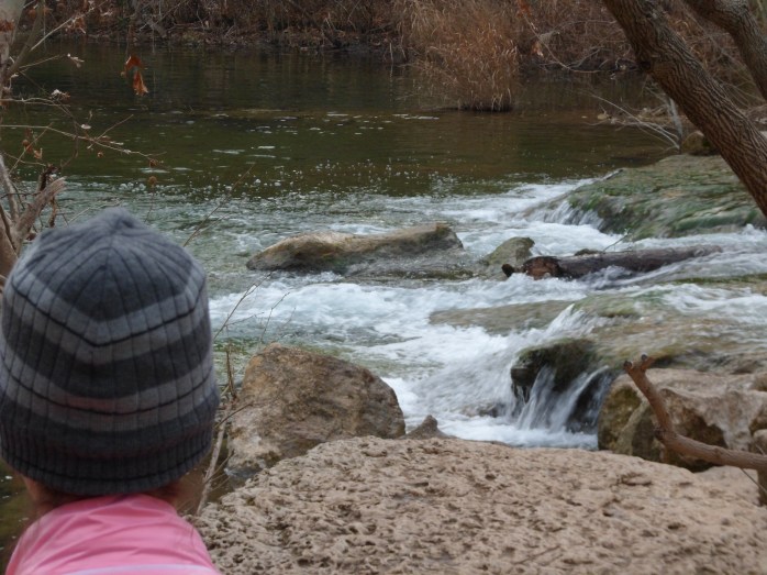 Court looking at the falls