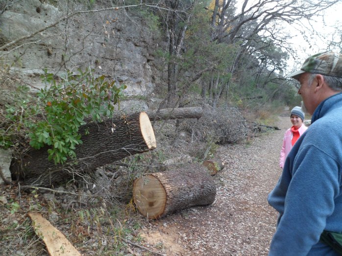 Tree that was formerly across the trail