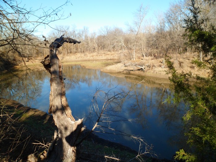 Hickory Creek from the trail, which feeds into Lake Lewisville