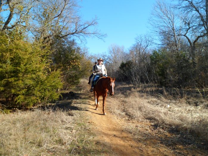 Casey is the white horse behind this one. Super friendly horse. Biff did not approve.
