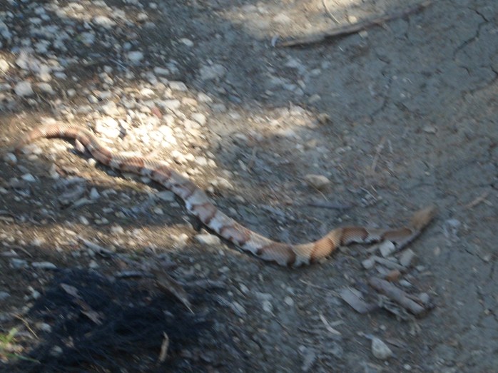 After passing safely