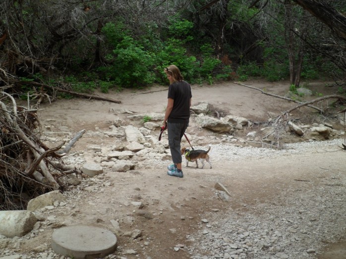 Lamenting the dry creek