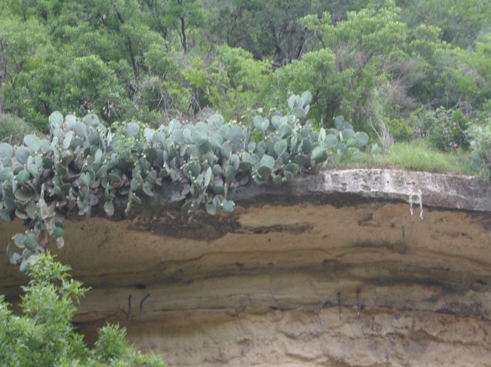 attachment points in the rocks for the climbers