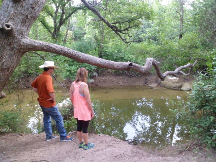 one of the stagnant pools