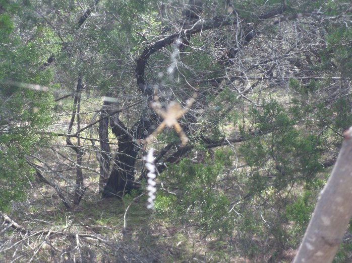 look at that monster