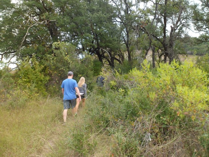 into a small wooded section before gaining elevation