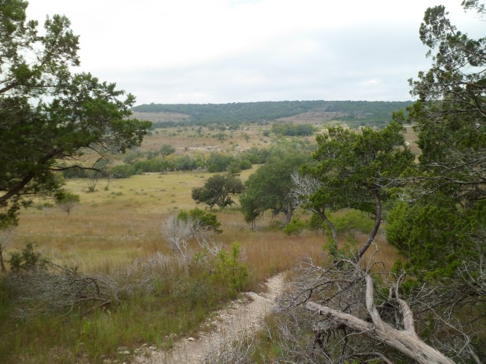 looking down the hill