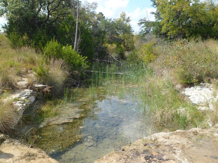 creek on the way back