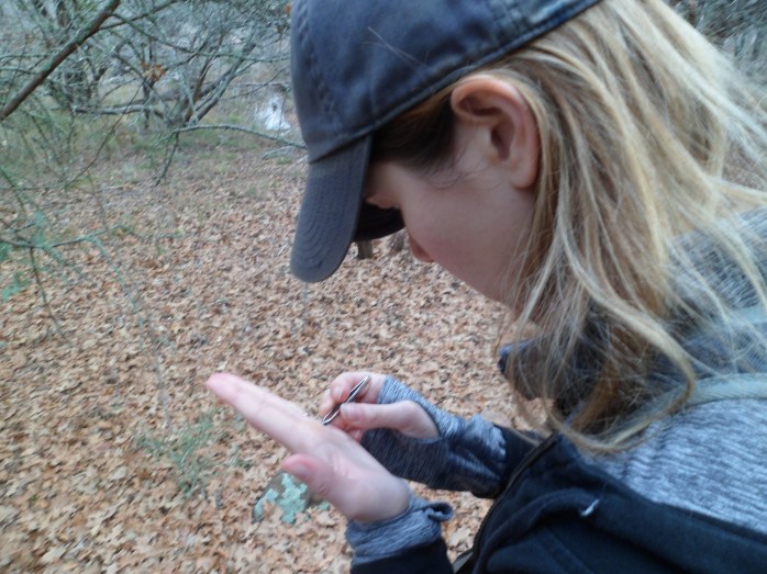 Court realizing that prickly pear fruit is prickly
