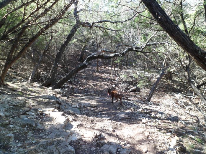 Sam on the rocky trail