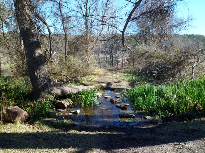 spring that feeds the falls