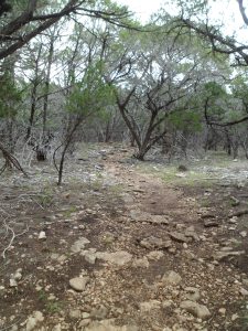 rocks and more rocks