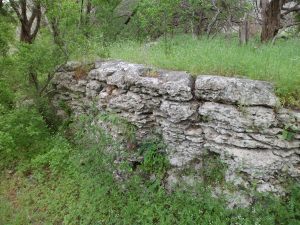 natural rock wall with ferns growing out of it