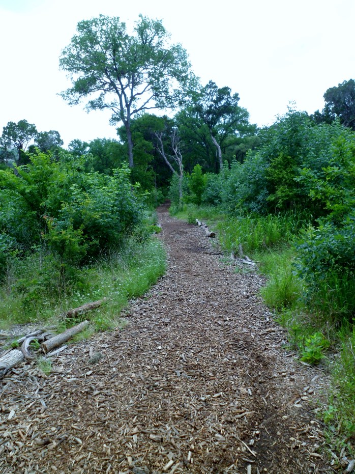 new trail