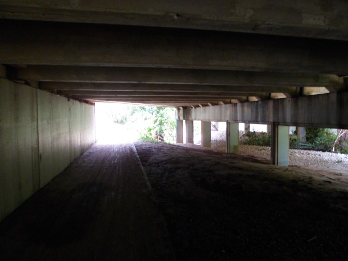 under one of the bridges downtown (10th St?)