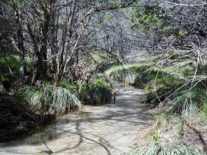 creek above the waterfall with smooth limestone creek bed