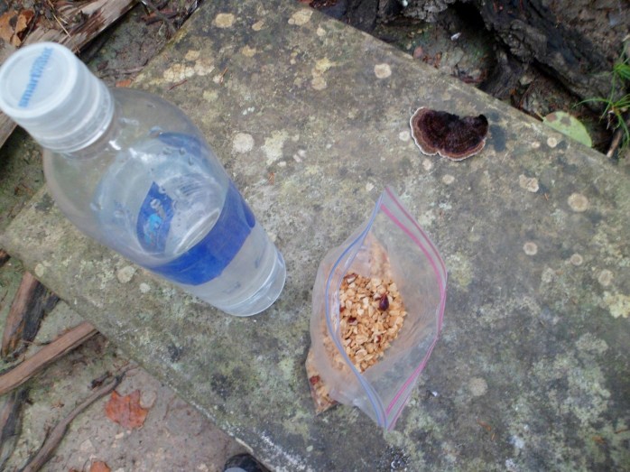 Court's homemade granola.  I didn't eat the mushroom though.