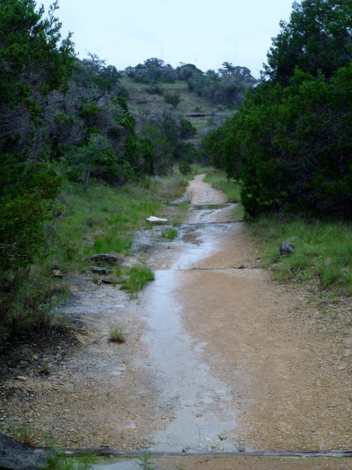 trail still wet from the rain