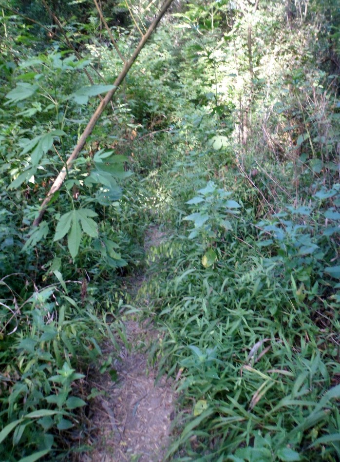 and another dead end