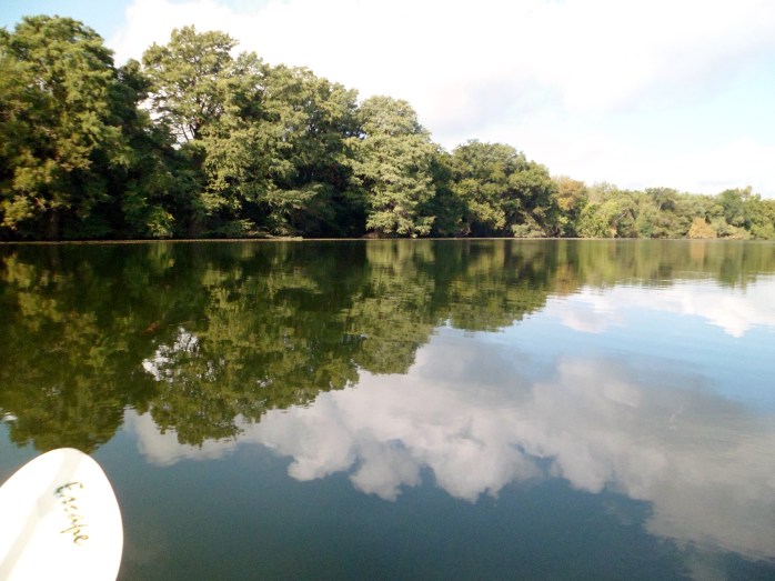 good reflection - taken by Court