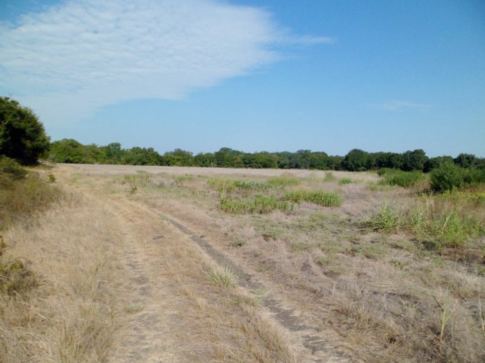 exposed trail in the baking sun
