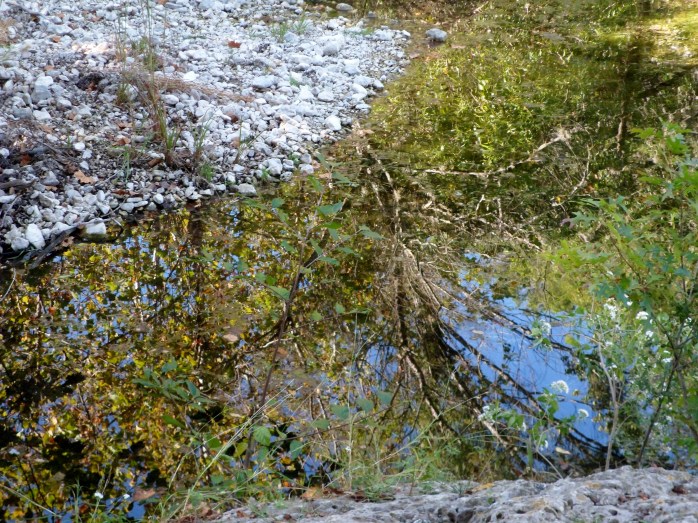 Court's favorite reflection