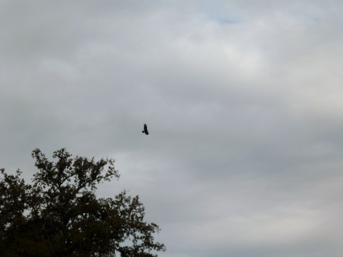 overcast start to the day