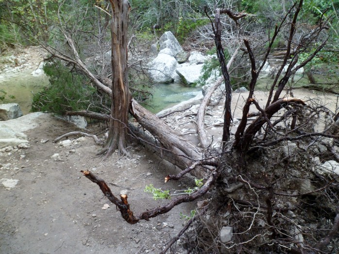 and even more flood damage