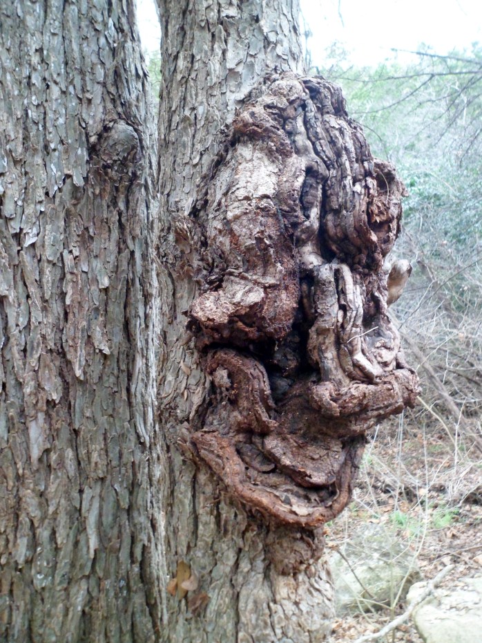 there's a face there somewhere