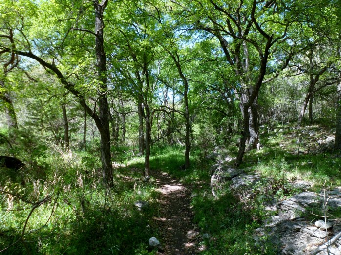 through the woods back to the car