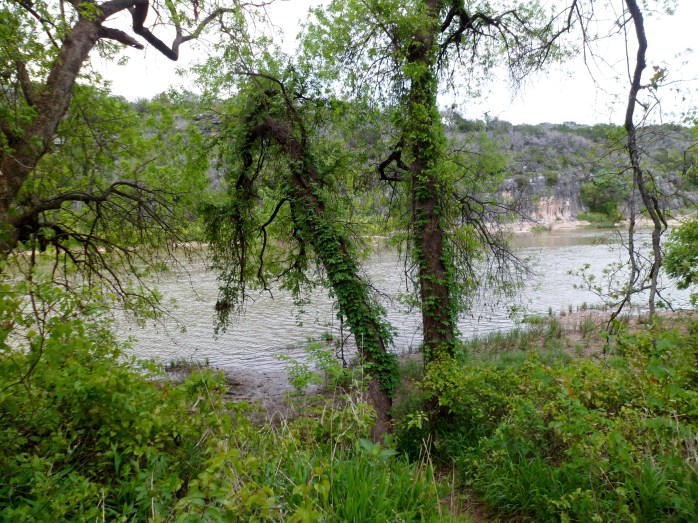 River view from camp