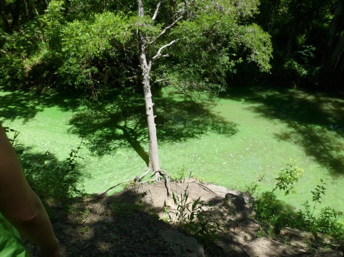 not the clearest creek after all