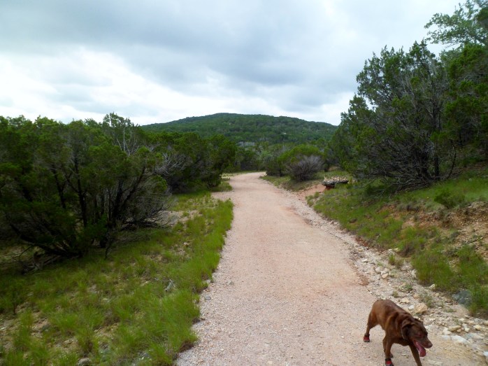 wide trail - it was like this the entire way