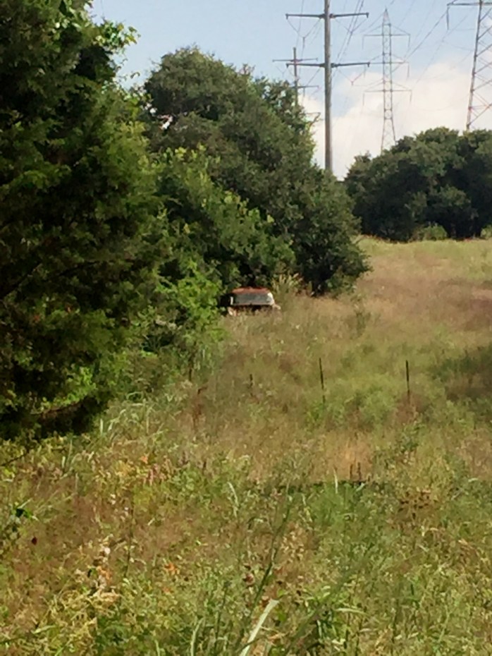 old car hiding in the grass