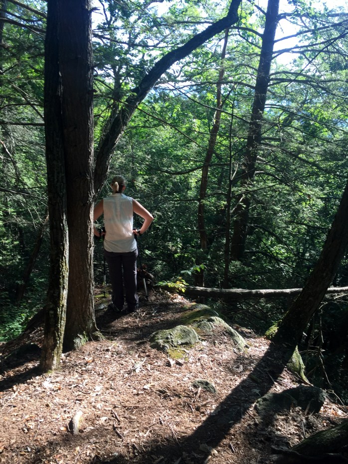 Looking through the trees at the hills of the Berkshires