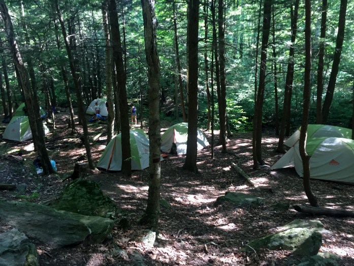 Greenagers camp