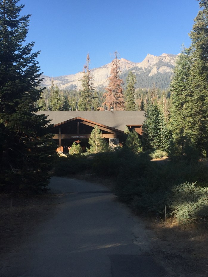 Wuksachi Lodge main building